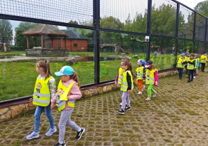 Dzieci spacerują przy wybiegu dla tygrysów